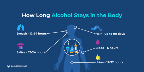 How Long Does Alcohol Stay In Your System