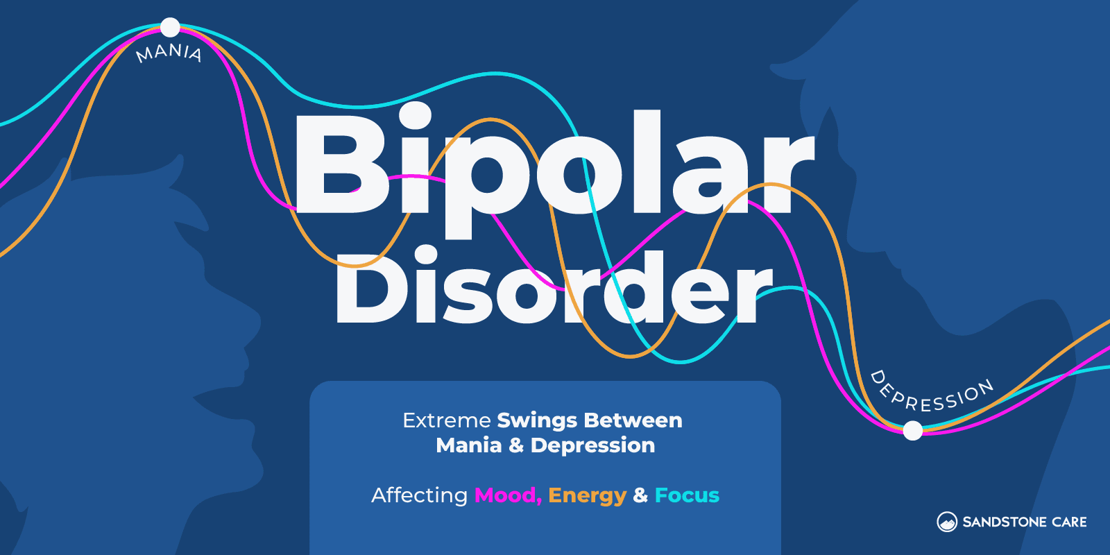 Bipolar Graphics_01 What is Bipolar Disorder Definition Inline Image