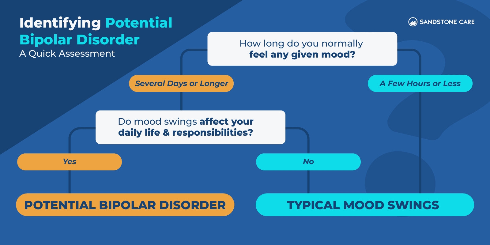 Bipolar Graphics_02 Identifying Potential Bipolar Disorder - A Quick Assessment Inline Image