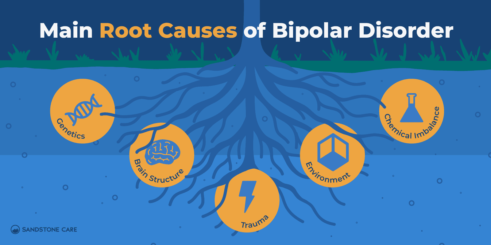 Bipolar Graphics_07 Main Root Causes of Bipolar Disorder Inline Image