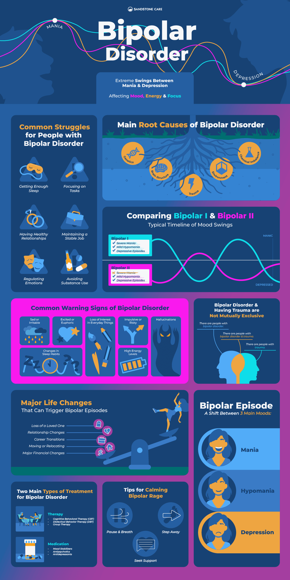 Bipolar Disorder Infographic