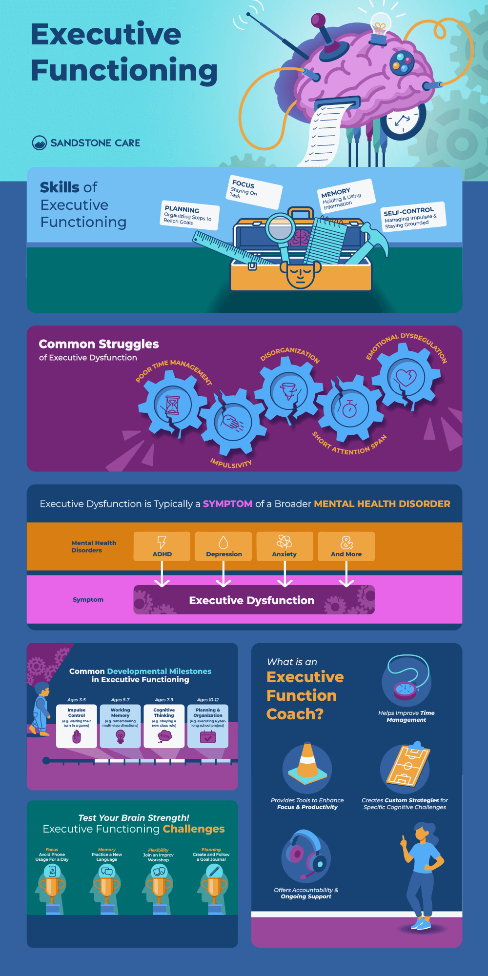 Executive Functioning Graphics Infographic