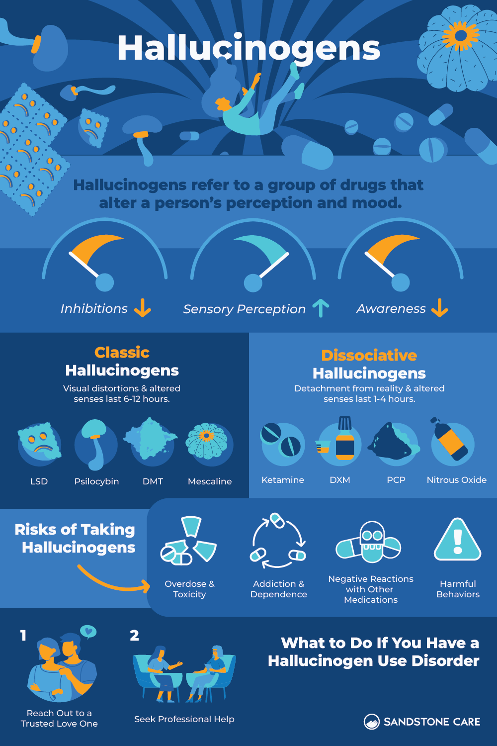 Hallucinogen Infographic