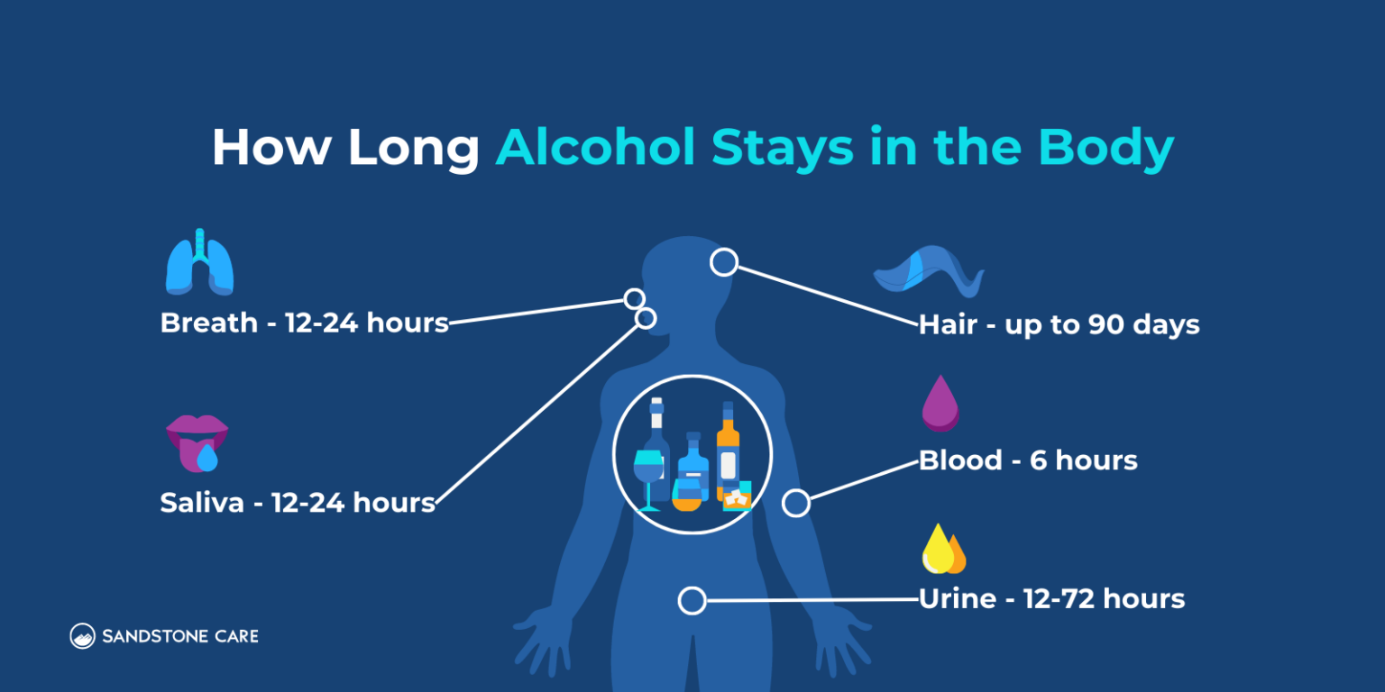 How Long Does Alcohol Stay In Your System?