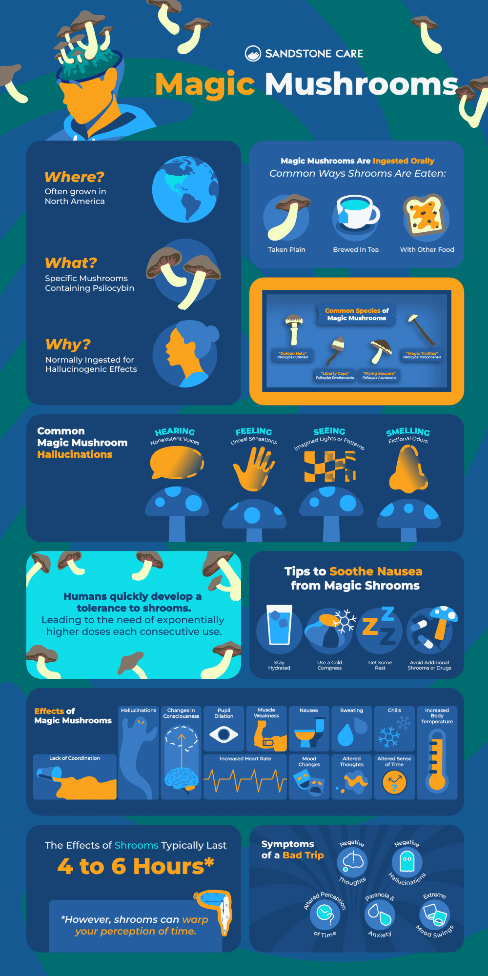 Magic Mushrooms InfoGraphic