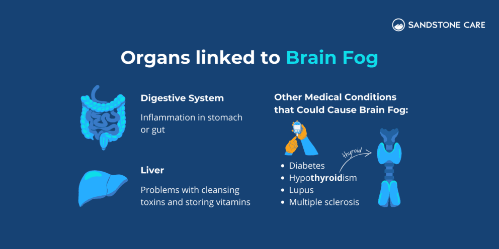 Brain Fog Symptoms Causes And Treatment Sandstone Care 