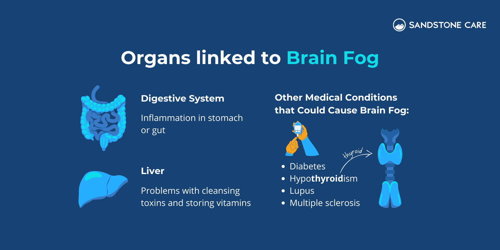 Brain Fog: Symptoms, Causes, & Treatment