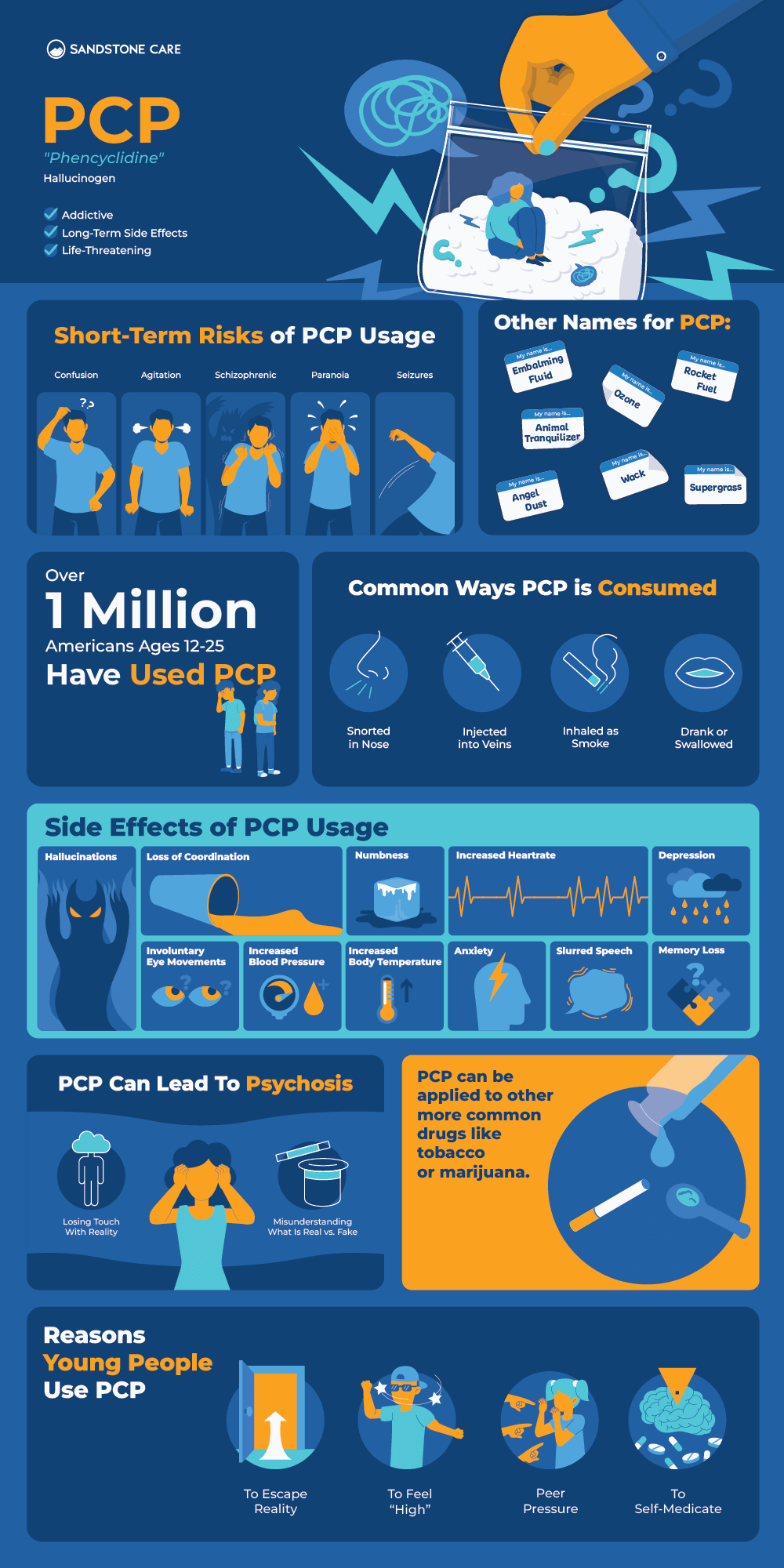 PCP InfoGraphic