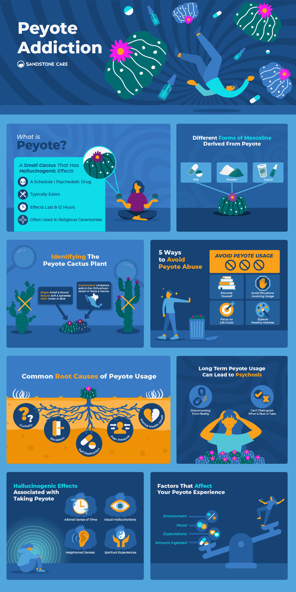 Peyote Graphics Infographic