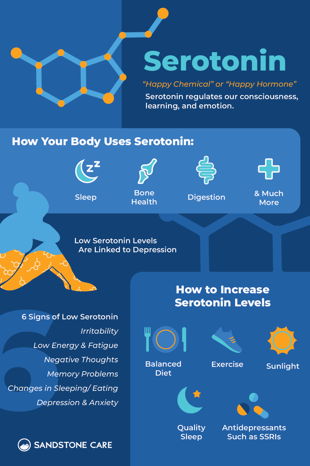 Serotonin Blog Infographic