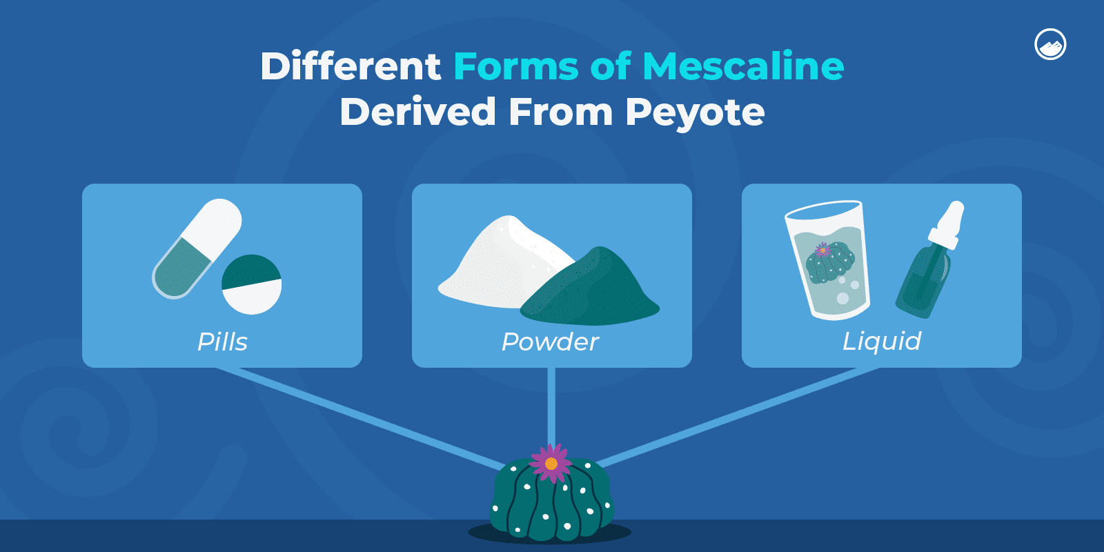 a diagram of different forms of mescaine derived from peyote