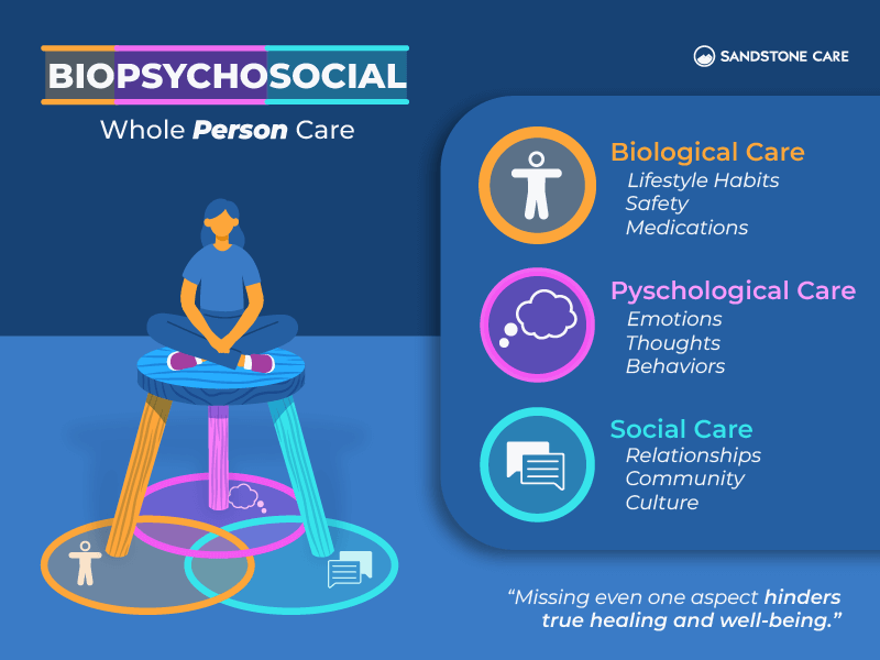 06 Sandstone Care Outcomes Data Inline Image Biopsychosocial Definition